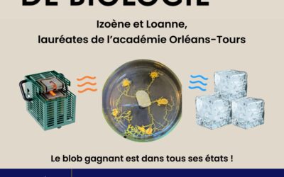 Les Olympiades de Biologie 2026 : deux lauréates académiques au lycée Paul-Louis Courier.